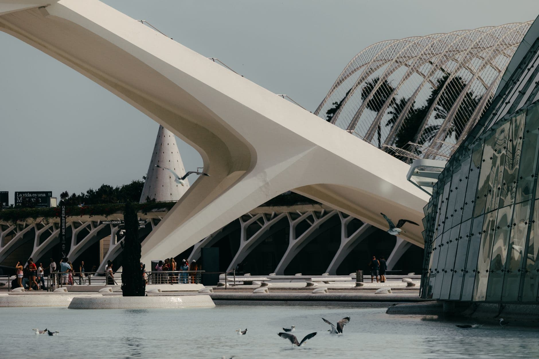 Geometría: el reto ideal para fans ⭐